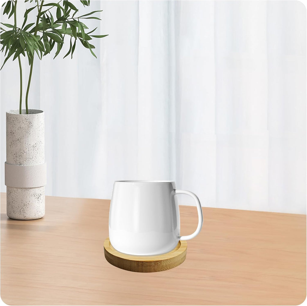 6Pcs 2.5” Bamboo Plant Saucer, Round Pot Tray for Indoor Planters, Succulent Holder Drainage Tray, Versatile Coaster Set for Home Office Decor