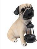Afirst Solar Dog Garden Statue with Solar Lantern Outdoor Garden Pug Statues Figurines Lights Decorations for Patio Balcony Yard Ornament Outdoor Decor Gift