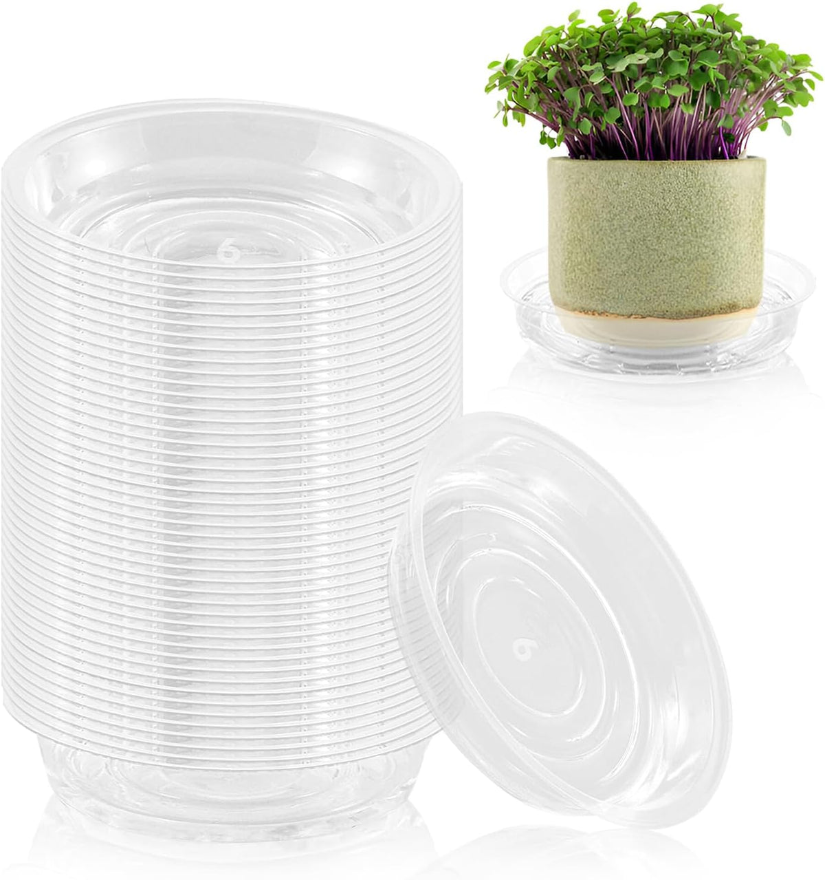60 Pack 6 Inch Plant Saucer Clear Plant Saucers for Indoors Flower Pot Saucers Small Plants Plate Dish Succulent Pot Saucer Plants Trays for Pots Bulk Plastic Tray for Flower Cactus Nursery Pots