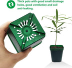 Square Nursery Succulent Pots 4 Inches 60 Pcs Deep Flower Plant Nursery Seedling Grow Pots Plastic with Drainage (Green, 4Inches, 60Pcs)