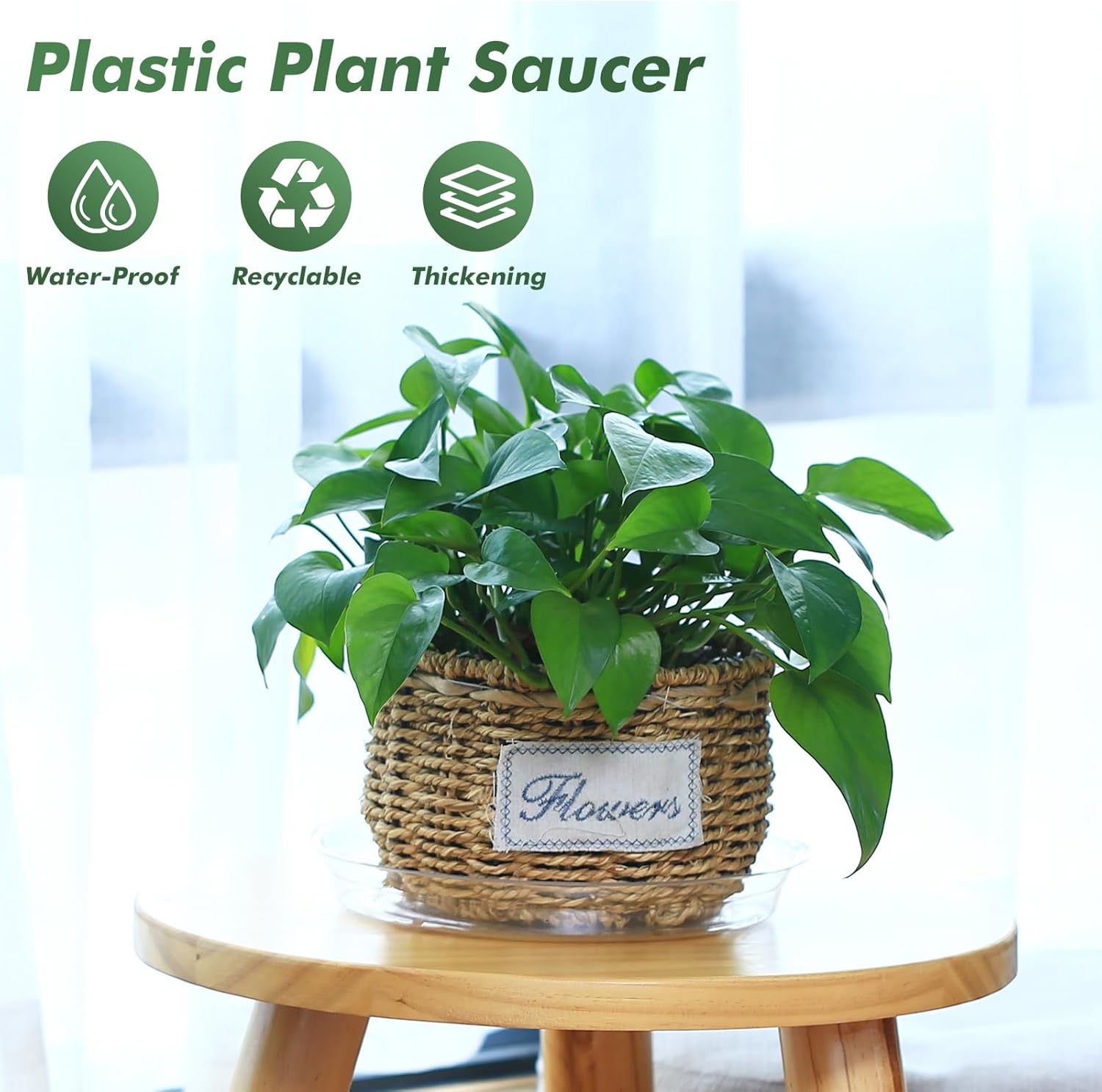 36 Pack Clear Plant Saucers for Indoors (4 6 8 10 12 14 Inch) Flower Pot Saucers for Potted Plants Plate Set Plant Trays for Indoors No Holes Plants Saucer Trays for Pots Drip Tray Bull Plastic Tray