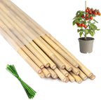 Plant Stakes 18inch, 20Pcs Natural Bamboo Sticks Garden Stakes, HAINANSTRY Plant Support Stakes for Indoor & Outdoor Plants, Orchid Tomato Vegetable Stakes for Garden