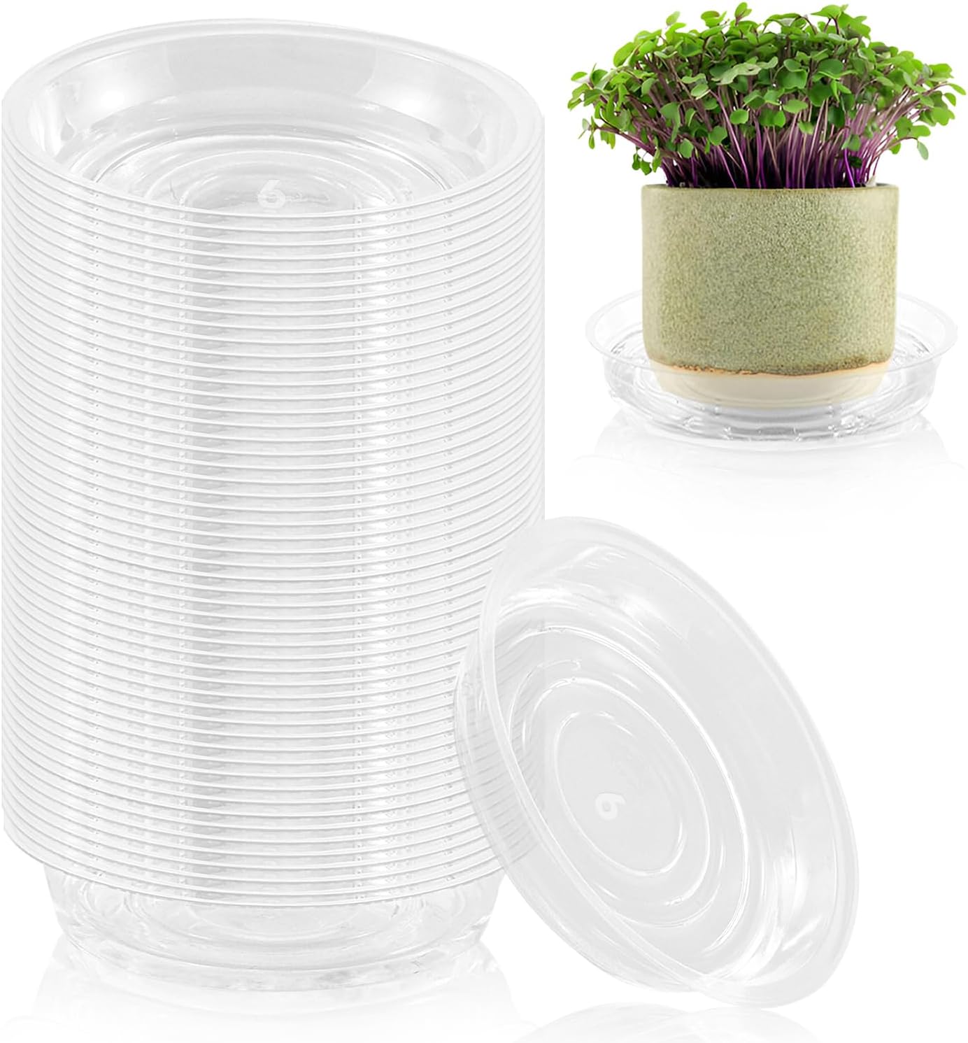 100 Pack 6 Inch Plant Saucer Clear Plant Saucers for Indoors Flower Pot Saucers Small Plants Plate Dish Succulent Pot Saucer Plants Trays for Pots Bulk Plastic Tray for Flower Cactus Nursery Pots