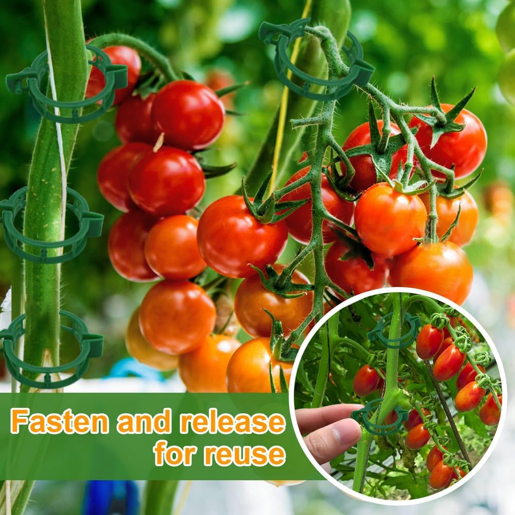 200 Pcs Plant Support Tomato Clips, Garden Clips, Crop Clips for Vine Vegetables, Fixing Tomato, Sweet Pepper, Eggplant, Makes Plants Grow Upright and Healthier（Green）