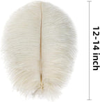 Ballinger Beige Ostrich Feathers Bulk - 24pcs 12-14inch Cream Feathers for Vase,Wedding Party Centerpieces and Home Decor