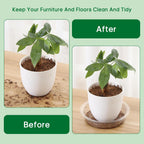 JERIA 10 Inch 20 Pack Clear Plant Saucers,Plastic Flower Pot Trays,Round Durable Plant Drip Trays for Indoor and Outdoor