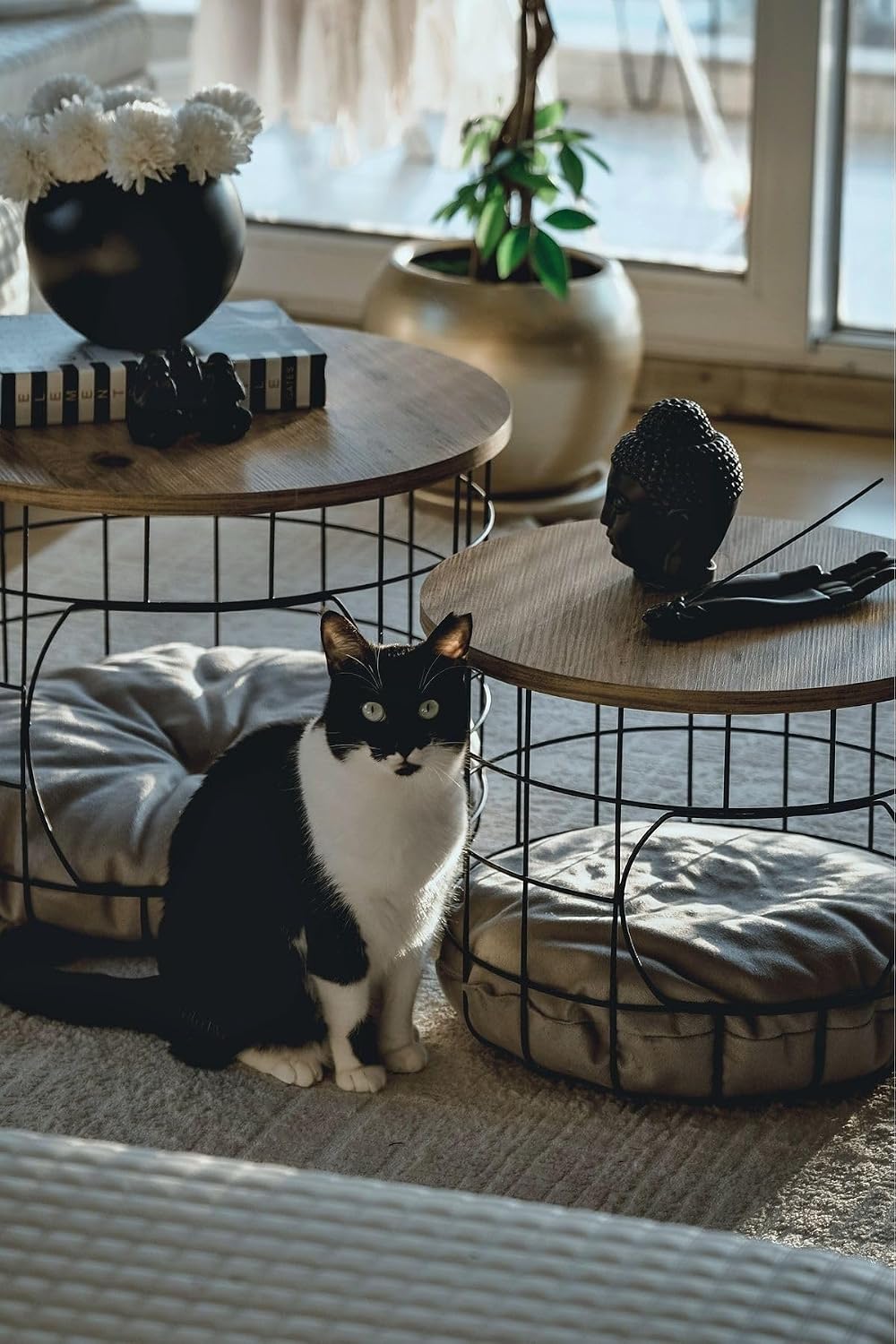 2-Piece Nesting Side Table Set with Cushions Scandinavian Style Round MDF and Metal Frame Modern Living Room Furniture Coffee Table for Pets 21.3 in Diameter - Pine-Black-White Cushion