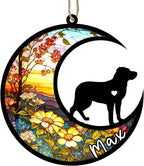 Personalized Dog Memorial, Custom Name Greater Swiss Mountain Dog Christmas Ornament with Name, Custom Breeds, Pet Loss Light Catcher, Gifts for Lovers Loss of Pet Sympathy on Mothers Day Christmas