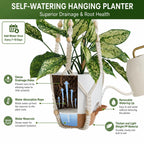 Bouqlife 3 Set Self Watering Hanging Planters for Indoor Plants