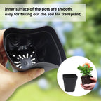 Square Nursery Pots 3" 120Pcs Deep Succulent Plastic Pots Small Flower Planter Seeds Starter Germination Pots with Drainage (Black,2.7Inches,120Pcs)