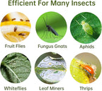 48 Pack Fruit Fly Traps for Indoors Plants Fungus Gnat Killer Trap Outdoor, Sticky Fly Catcher for House Outdoor, Flying Insects, Fungus Gnats, Flies