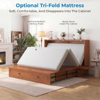 Mjkone Murphy Bed Queen with Mattress Included, Cabinet Murphy Bed with USB Charging Station & Storage Drawer, Mobile Cube Murphy Cabinet Chest Bed for Living Room Bedroom Apartment, Cherry