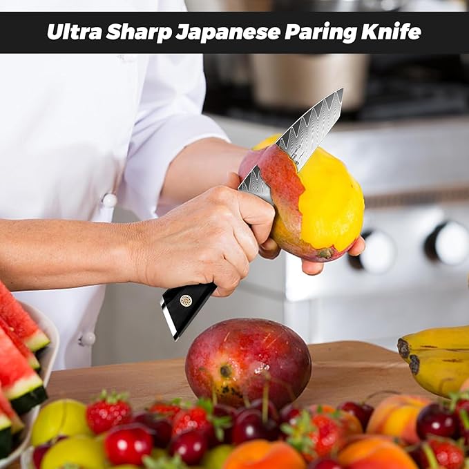 SHAN ZU Damascus Paring Knife Fruit Knife 4 Inch Professional Kitchen Knives, Japanese Damascus High Carbon Steel 67-Layer Fruit Carving Knives with G10 Handle/Gift Box