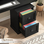 Halitaa Vertical File Cabinet, Filing Cabinet with 2 File Drawers, Farmhouse Small File Cabinet Fits Letter/A4 Size, Wooden Printer Stand, Under Desk Cabinets for Home Office, Black