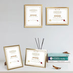 WIFTREY 16 Pack 8.5x11 Certificate Picture Frames, Multi 8.5 by 11 Photo Frame Bulk for Document Award, Wall Hanging or Tabletop Display, Gold
