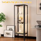 Ryoko Display Cabinet with Glass Door, Adjustable 3-Shelf Shelves, Curio Cabinet with LED Light, Glass Display Cabinet with Lock,Storage Cabinets, Dark Grey