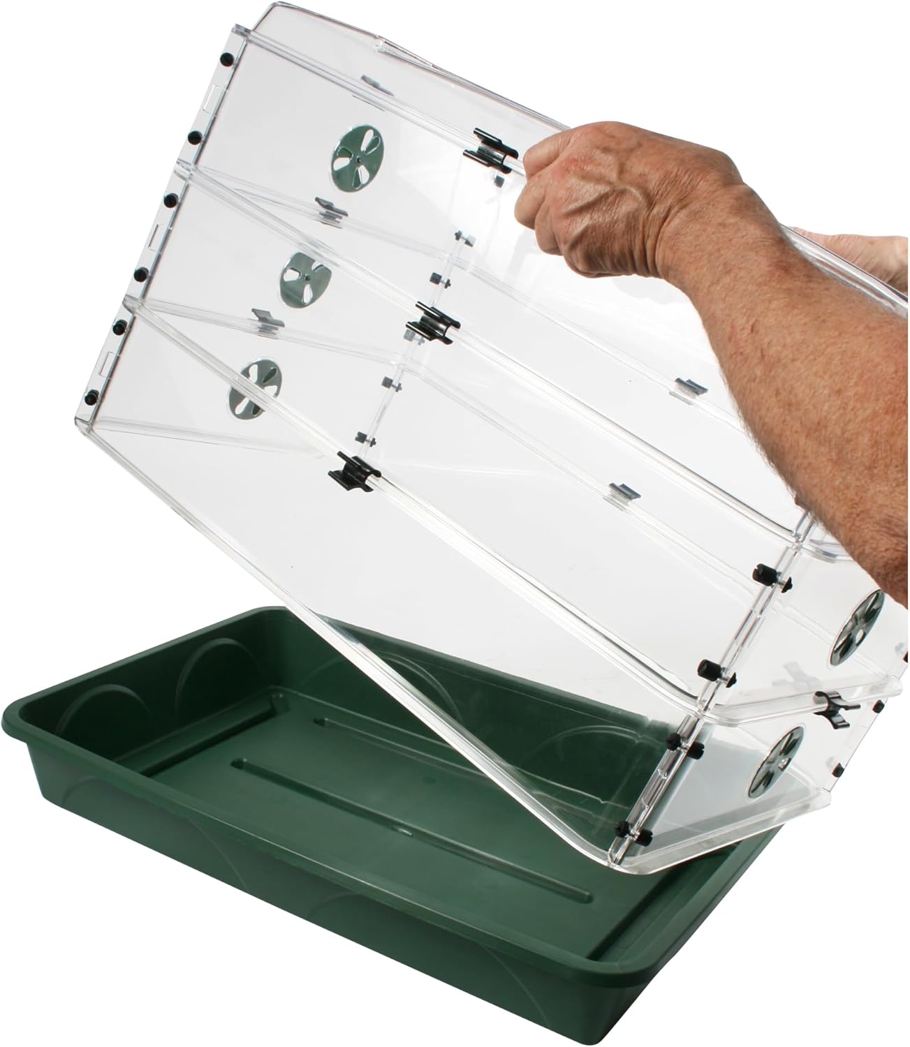 EarlyGrow 24" x 15" x 12.75" Domed Propagator with 2 Height Extenders and Locking Clip Set, Green