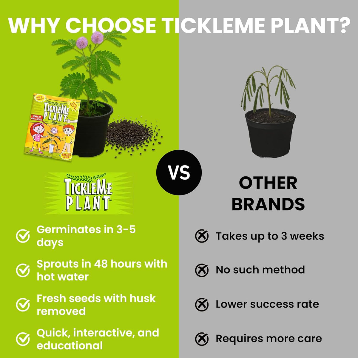 TickleMe Plant Seeds for Indoor Planting (2-Pack) – Interactive Party Favor | Leaves Close When Touched, Reopen in Minutes – Easy Indoor House Plant Seeds, Can Flower, Includes 10 Fun Activities
