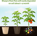 120 Packs 3.15 Inch Peat Pots, Biodegradable Pots for Seedlings with Drainage Holes, Herb Seed Starter