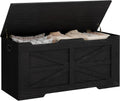 Hzuaneri 39" Modern Storage Chest | 50 Gal | 330lb Seat | Black | Soft-Close Hinges | Stuffed Animal and Blanket Storage for Bedroom, Entryway and Living Room | Easy Assembly | SB03404X