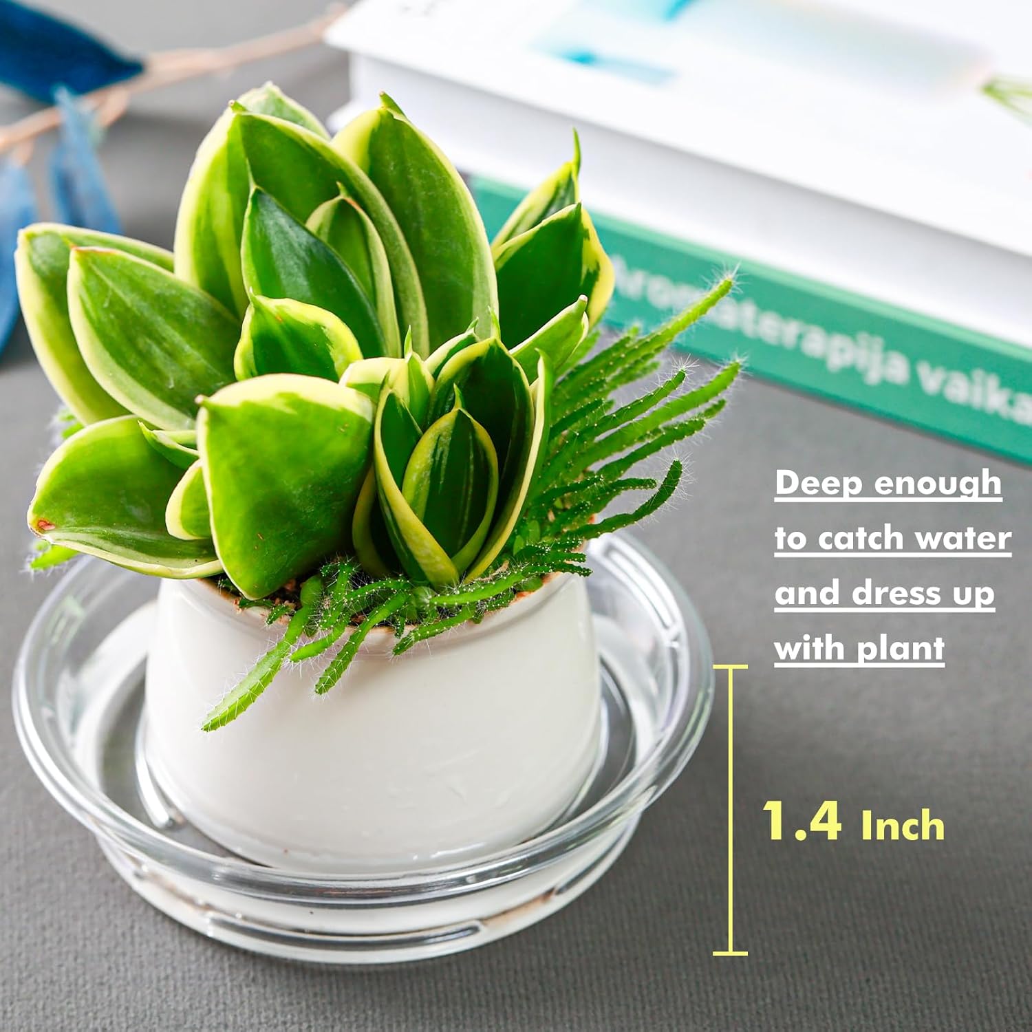 Plant Saucer 50 Pack Plant Trays for Pots 6 Inch Plastic Plant Saucers for Outdoors and Indoors Clear Drip Trays for Potted Plants Flower Pot Plates to Catch Water Plant Drainage Dishes No Holes