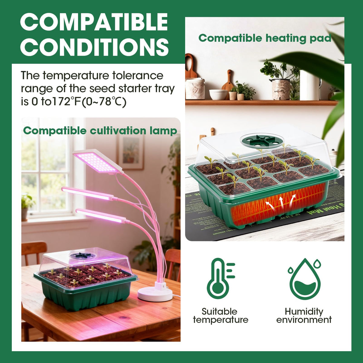 PlantaPulse 5 Packs Seed Starter Tray with Humidity Dome, Seed Starter Kit with Transparent Drain Hole Base Indoor Greenhouse Mini Propagator for Seeds Growing Starting(60 Cell Trays, Green)