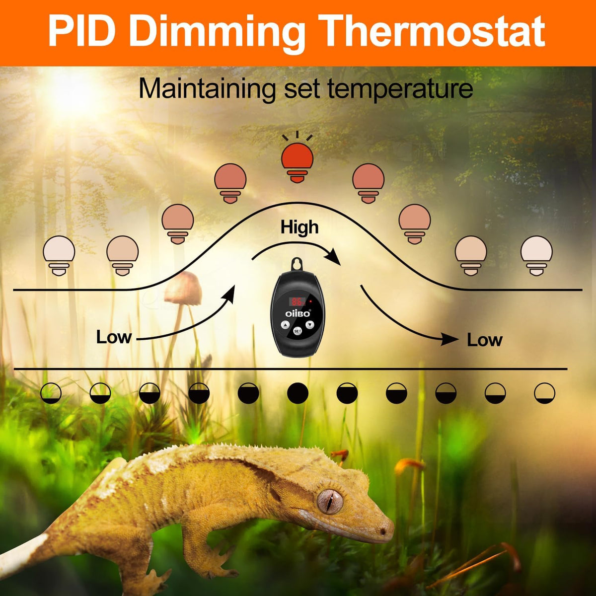 Oiibo Reptile Light Fixture with Dimming Thermostat, 8.5inch Deep Dome Reptile Lamp Fixture, Reptiles Heat Lamp Fixture for UVB Bulb Basking Heat Bulb, Max 150W