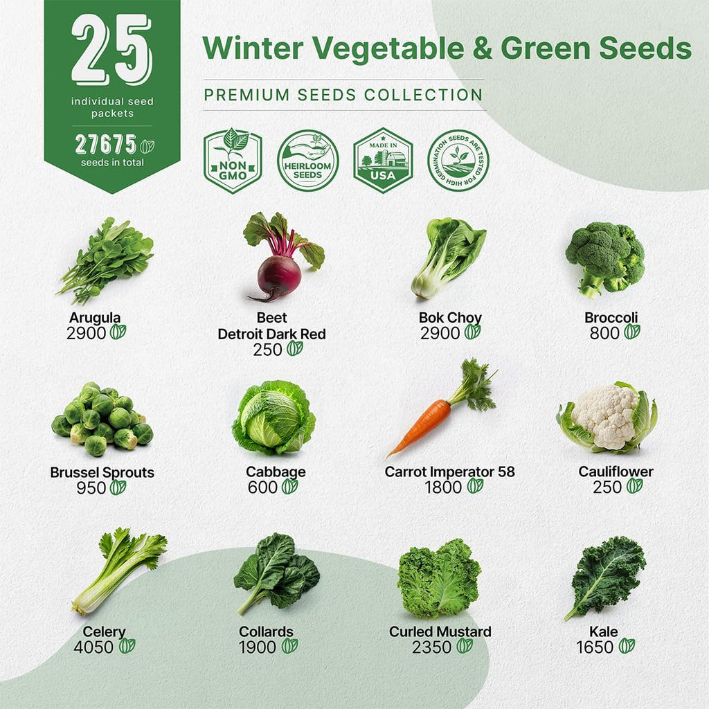 Organo Republic 25 Winter Vegetable & Green Seeds Variety Pack for Outdoors & Indoor Home Gardening 27670+ Non-GMO Heirloom Seeds: Broccoli Beet Carrot Collard Lettuce Radish Spinach Pea Kohlrabi