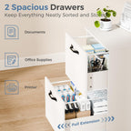 DUMOS 2 Drawer Storage Cabinet, Rolling Under Desk Storage, White | Not for Hanging Files, Printer Stand, Lockable Wheels, Mobile Wood Home Office Organizer