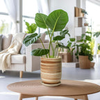 8 Inch Plant Pot, Ceramic Planter for Outdoor Plants, Large Plant Pot Indoor with Drainage Hole and Saucer, Modern Flower Pot for Home Garden Decor Yellow