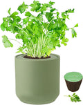 Hydroponic Herb Growing Kit, Self-Watering Kitchen Herb Garden Starter Kit with Green Ceramic Pot and Seeds (Parsley)