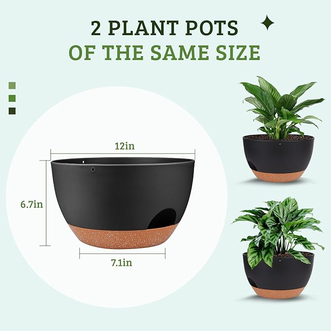 Vanslogreen Plant Pots 12inch Self Watering Pots, Set of 2 Plastic Planters with Drainage Holes and Saucers, Flower Pots for Indoor Outdoor Plants (Black)