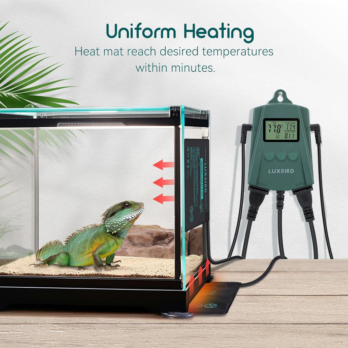 Luxbird Reptile Heating Pad 8x12 Inch with Dual Output Reptile Thermostat LB-2SC Combo Set Under Tank Terrarium Heating Mat for Turtles, Lizards, Frogs, and Other Reptiles