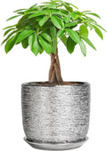 Ceramic Flower Pot - 7 Inch Ceramic Plant Pot for Indoor Flowers, Modern Outdoor Round Planter with Drainage Hole and Saucer, Gifts for Plant Lovers, Home Garden Decor, Silver