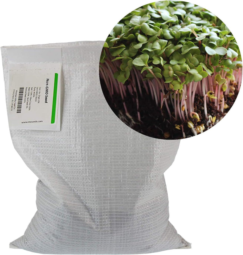 Radish Sprouting Seed - Red Arrow Variety - 5 Lb Bulk Seed - Heirloom Radish Sprouts - Non-GMO Sprouting and Micro Radishes