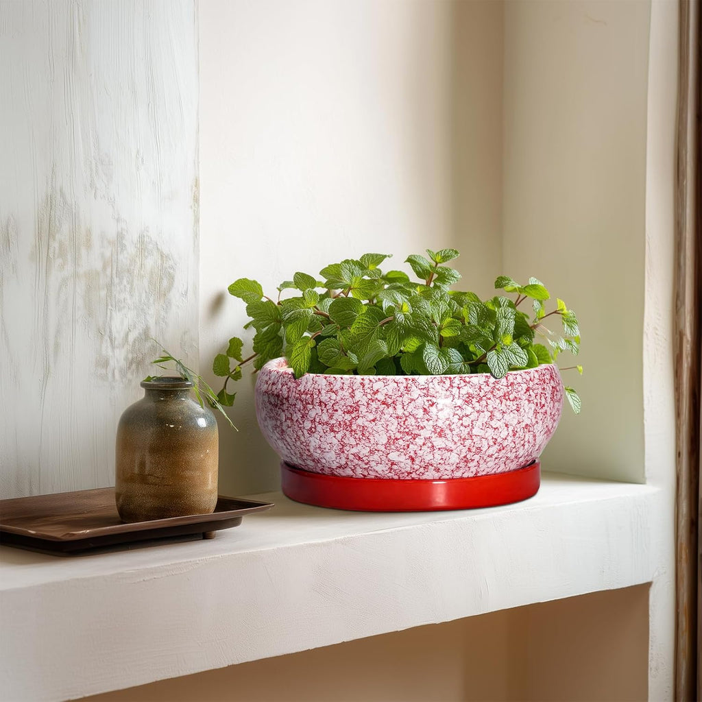 Succulent Pots - 8 Inch Bonsai Pots for Indoor Outdoor, Shallow Ceramic Planter with Drainage Hole and Saucer, Round Flower Succulent Planters, Room Decor, Gifts for Plant Lovers, Red