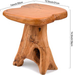 Small Side Table, Freeform Live Edge Wood Stool, Unique Design Natural Plant Stand for Patio, Garden, Yard, Living Room, Bedroom