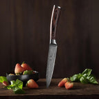 Wakoli EDIB Damascus Utility Knife 4.7-inch - 67-Layer VG10 Core Steel, Razor Sharp Blade with Pakkawood Handle for Kitchen & Everyday Use - Gift Box