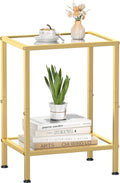 Glass Side Table, Tempered Glass End Table, 2-Tier Nightstands with Open Shelves, Small Coffee Table with Modern Style, Accent Table Small Table Sofa Table for Living Room, Bedroom,Gold