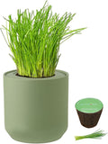 Hydroponic Herb Growing Kit, Self-Watering Kitchen Herb Garden Starter Kit with Green Ceramic Pot and Seeds (Chives)
