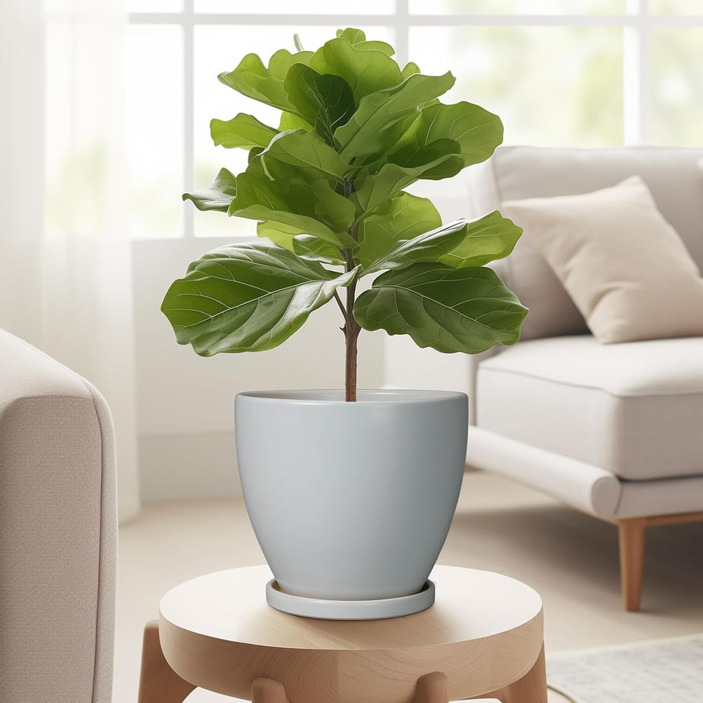 6.8 Inch Planter - Ceraimc Pots for Indoor Outdoor Plants Round Planters Modern Flower Pot with Drainage and Tray Home Garden Decor Gray