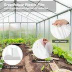 12x50 Ft Clear Greenhouse Film Plastic Sheeting, Greenhouse Polyethylene Plastic Film 6 mil Thickness Replacement Cover, UV Resistant, Plant Covers Freeze Protection for Windproof Frost& Dust Proof