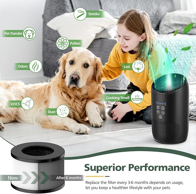 BS-03 HEPA Replacement Filter Compatible with PARTU and Slevoo BS-03 HEPA Air Purifier with 3-in-1 Filtration System, 1 Pack