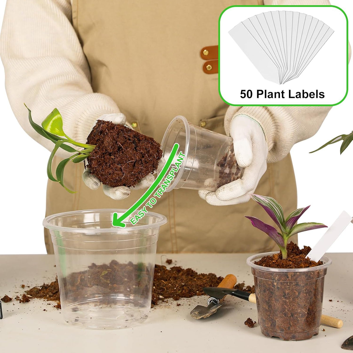 60 Pack 3.5/4/5/6/7 Inch Clear Nursery Pots with Drainage Hole,Variety Sizes Seed Starting Pots Transparent Plastic Plant Pots for Plants Transparency with 50 Plant Labels
