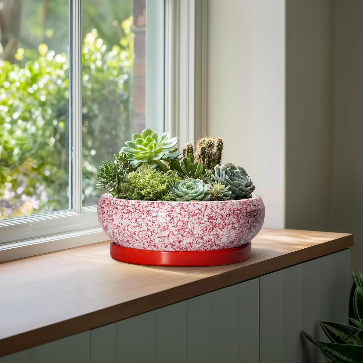 Bonsai Tree Pots 13 Inch - Ceramic Bonsai Pots with Drainage Hole and Tray, Large Succulent Planters Indoor, Round Bowl Planter Outdoor, Shallow Planter, Garden Decor, Plant Lover Gifts, Red