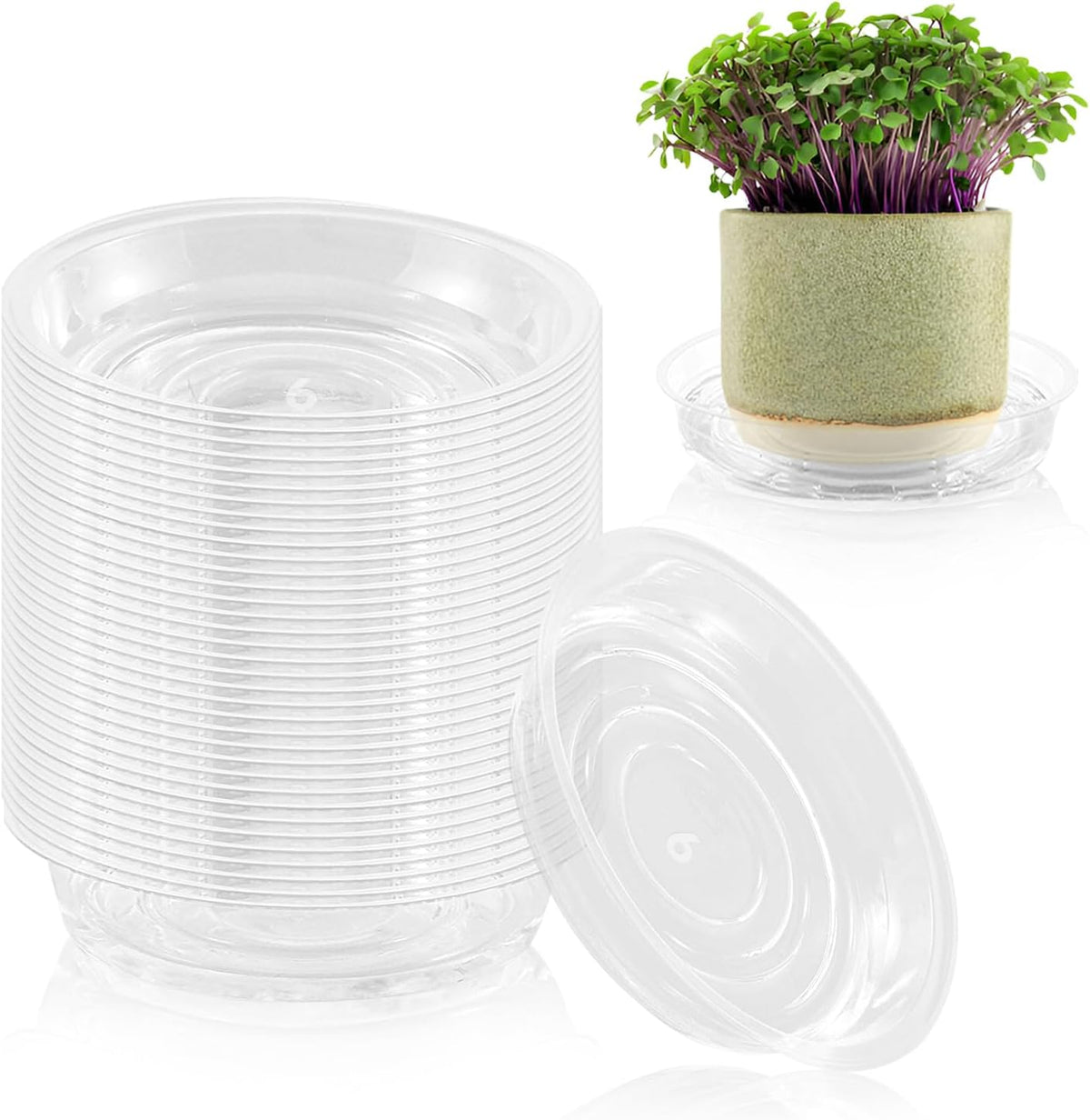 40 Pack 6 Inch Plant Saucer Clear Plant Saucers for Indoors Flower Pot Saucers Small Plants Plate Dish Succulent Pot Saucer Plants Trays for Pots Bulk Plastic Tray for Flower Cactus Nursery Pots