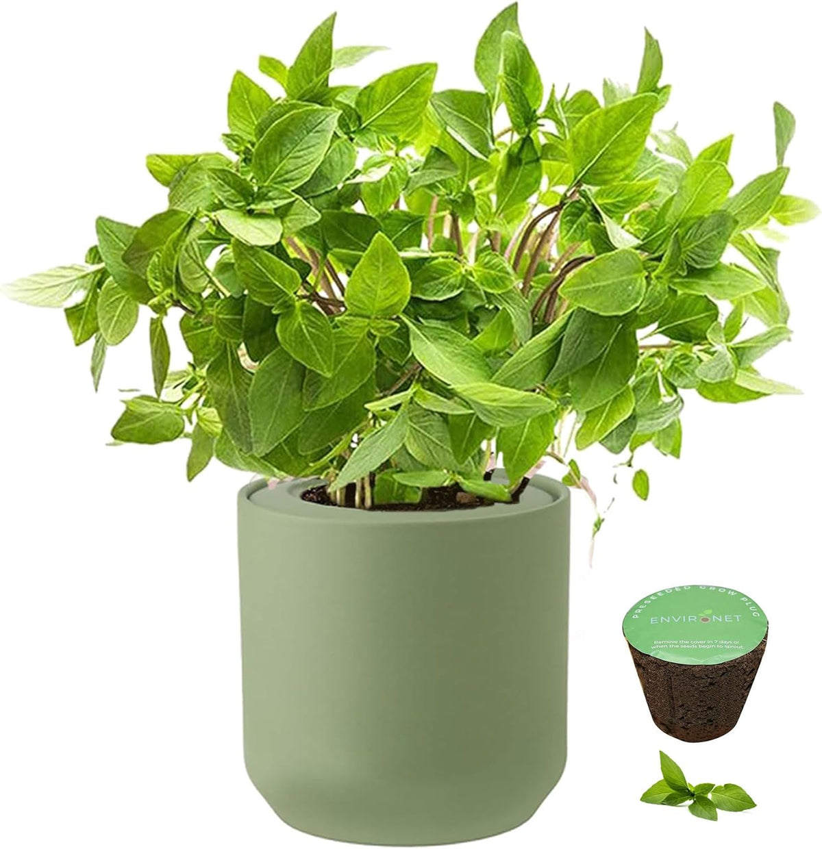 Hydroponic Herb Growing Kit, Self-Watering Kitchen Herb Garden Starter Kit with Green Ceramic Pot and Seeds (Thai Basil)