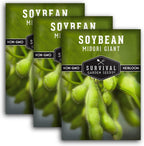 Midori Giant Soybean Seeds for Planting - Grow Protein-Rich Edamame Pods in Your Home Vegetable Garden - Non-GMO Heirloom Soy Bean - Survival Garden Seeds (3 Packs)