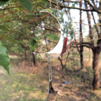 Keep Birds Away Mirror Disc, Hanging Reflectors to Scare Birds Away from Your House and Garden, 16 Moon-Star Discs