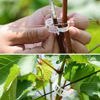 Professional Grafting Tool Kit - 3-in-1 Pruner with SK5 Blades, Grafting Knife, Tapes, Labels & Clips - Fruit Tree Grafting Supplies for Apples, Peaches, Grapes (Gardening Grafting Tools)